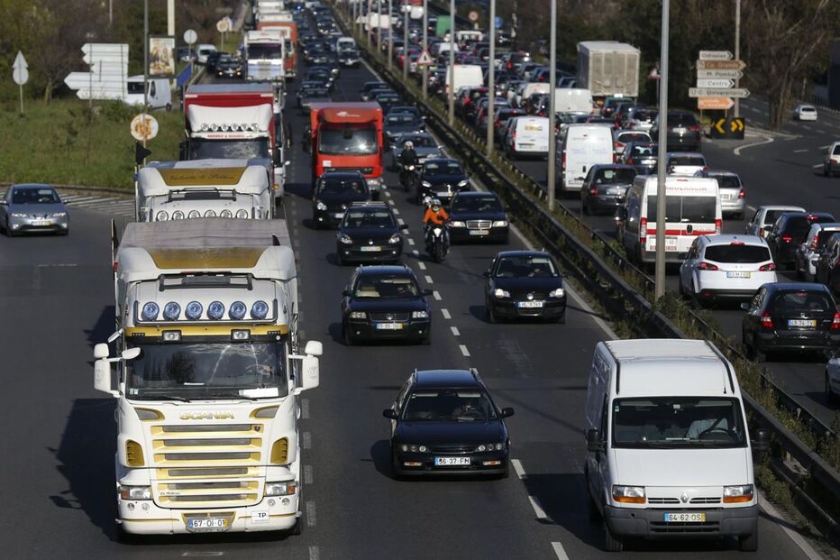 protesto, suinicultores, Lisboa