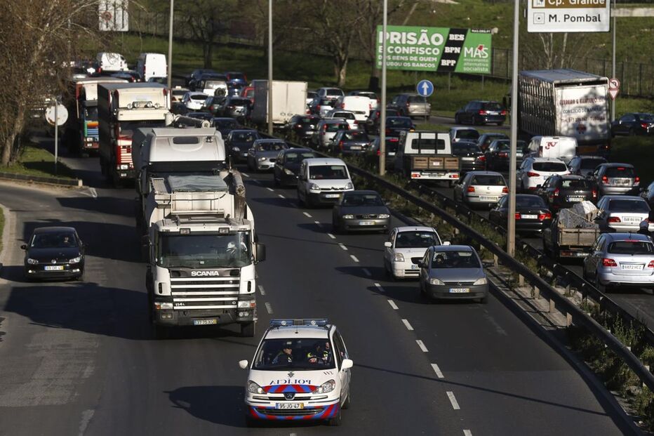 protesto, suinicultores, Lisboa