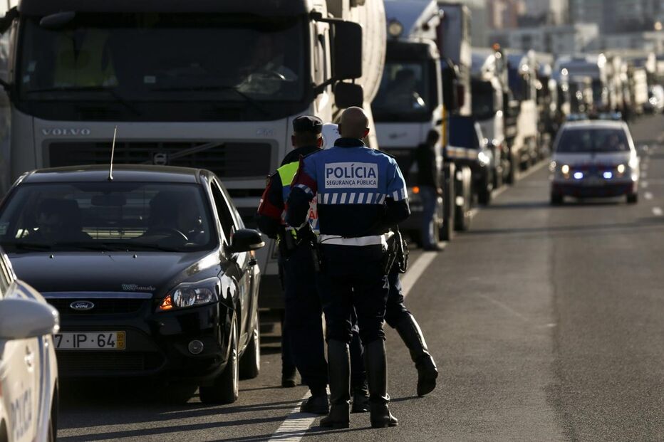 protesto, suinicultores, Lisboa