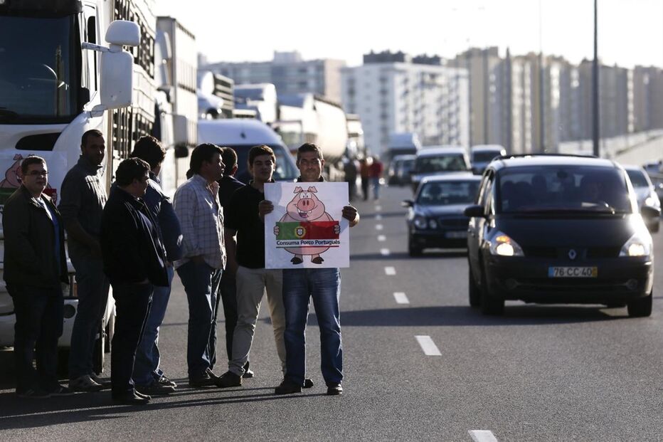 protesto, suinicultores, Lisboa
