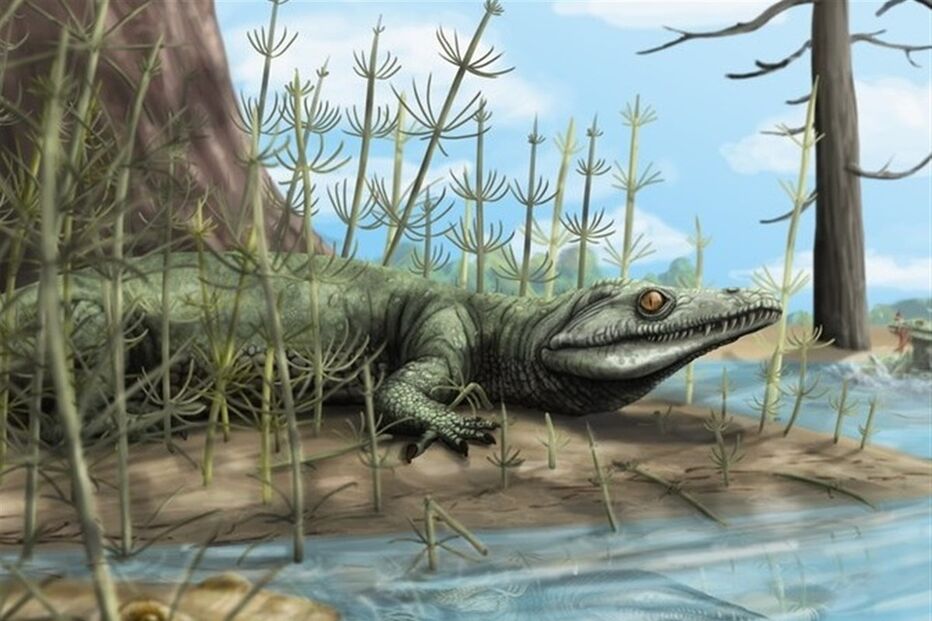 Brasil, Rio Grande do Sul, Universidade Federal de Pampa, Teyujagua Paradoxa, ciência e tecnologia, Triásico