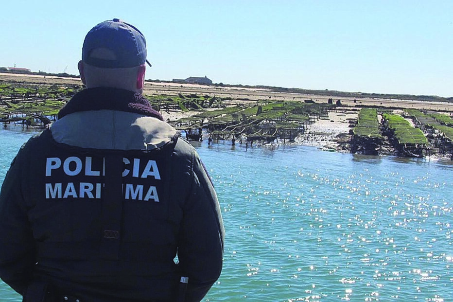 ostras, viveiros, ria, polícia marítima, restaurante, marisco, ria formosa, algarve, Torre de Aires