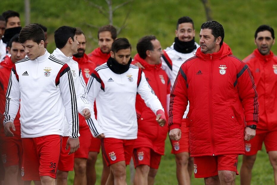 benfica, campeonato, futebol, rui vitória, tondela, jogo