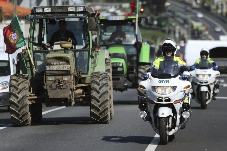 Produtores, manifestação, protesto, Matosinhos, produtores de leite, produtores de carne