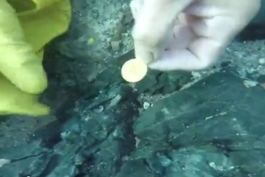 omã, esmeralda, navio, português, vasco da gama, armada, arqueologia, naufrágio, descoberta