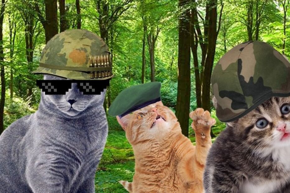 Twitter, Forest, Lockdown, ForestLockdown, BrusselsLockdown, Bruxelas, Brussels, Bruxelles, Belgium, Belgique, Bélgica