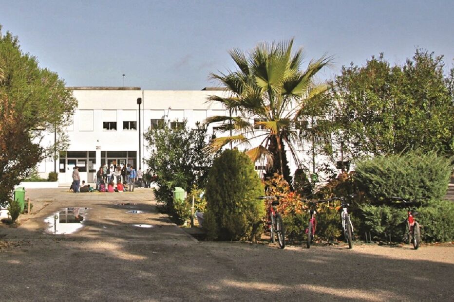 pénis, escola, tarado sexual, pedófilo, crianças, alunos, escola básica de Marinhais, Salvaterra de Magos