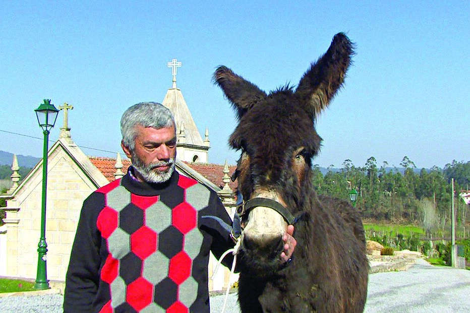 Nova burrinha chama-se ‘Lili’ 