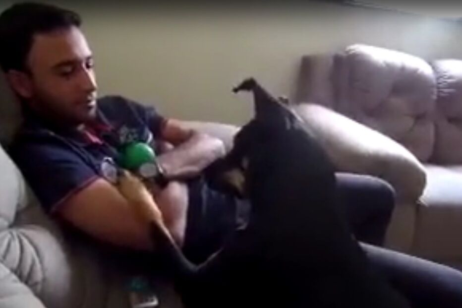 17-03-2016_20_45_46 cao1.jpg