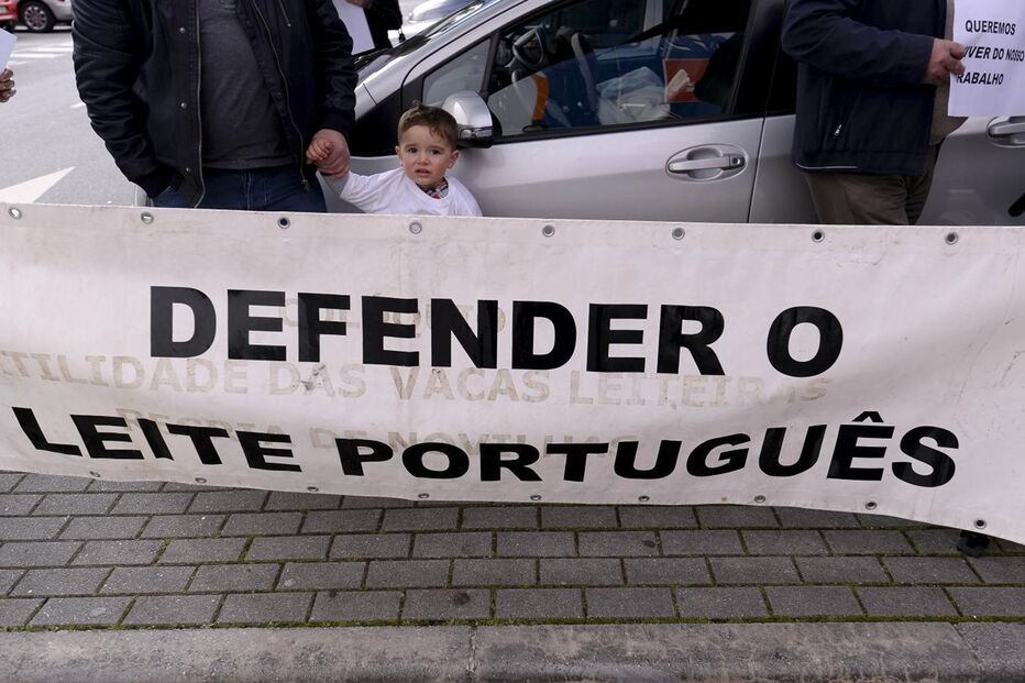 Póvoa de Varzim, Carlos Neves, líder da Associação de Produtores de Leite de Portugal, Governo, alimentação