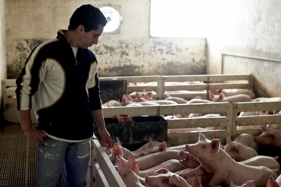 Instituto Nacional de Estatística, economia, negócios e finanças, agricultura