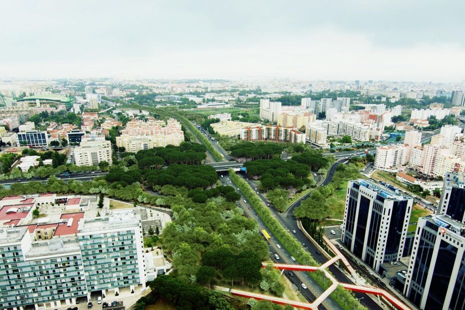 Câmara de Lisboa, Segunda Circular, Fernando Medina, obras públicas