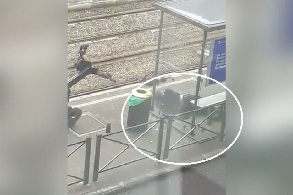 Bruxelas, Bélgica, Argenteuil