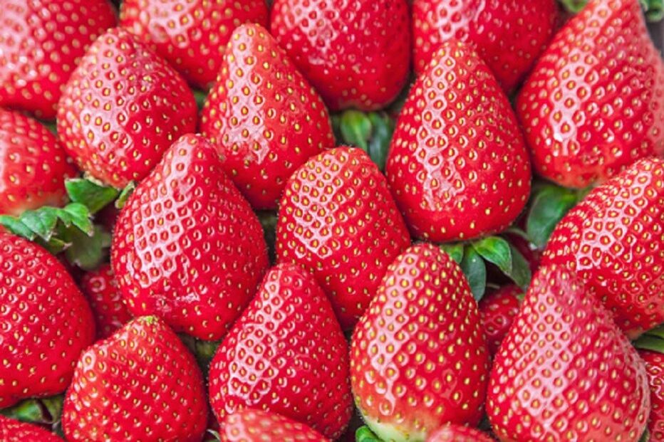 Alimentação, dieta, Laura Williams, Associação Britânica de Dietética, Reino Unido