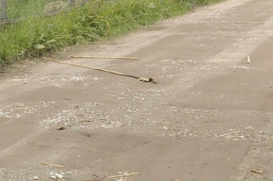 Viana do Castelo, Hospital de S. João do Porto, acidentes e desastres