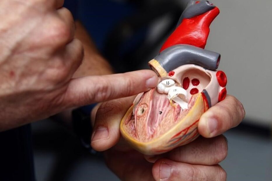 28-03-2016_12_43_19 img_905x603$2015_04_07_08_51_25_445207.jpg