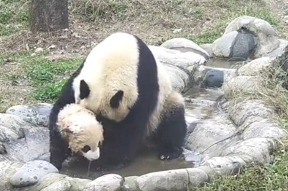 28-03-2016_19_07_40 Untitled.png