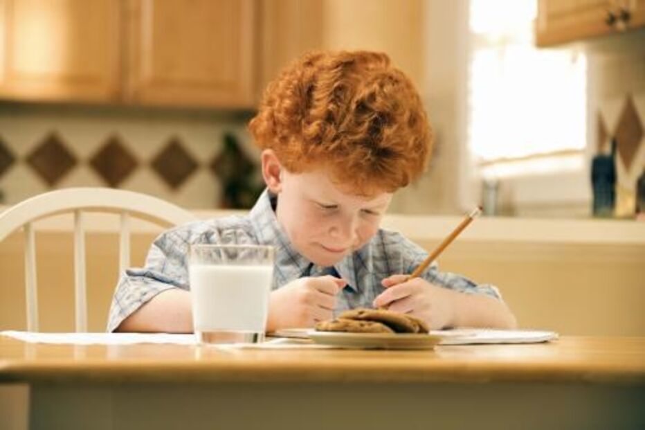 Orçamento do Estado, Diário da República, educação