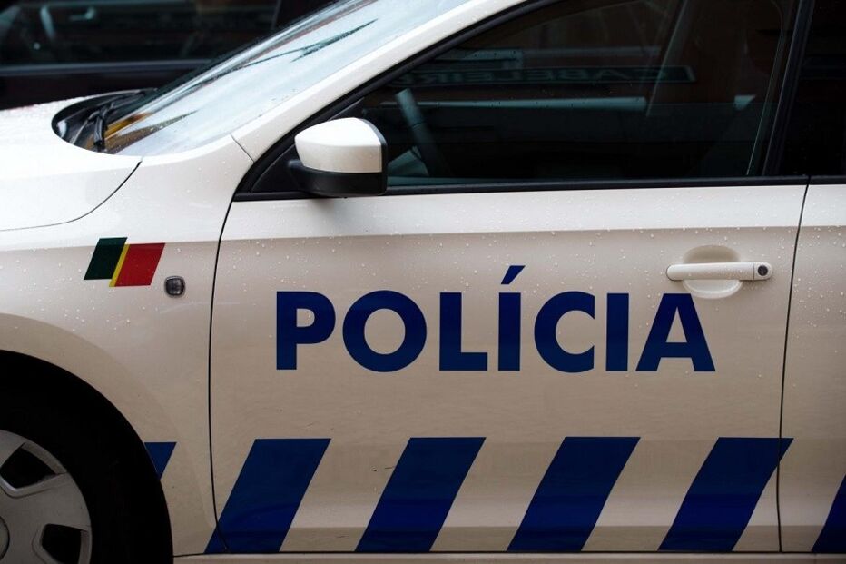 Relatório Anual de Segurança Interna, crime, lei e justiça, polícia, crimes, roubo por esticão