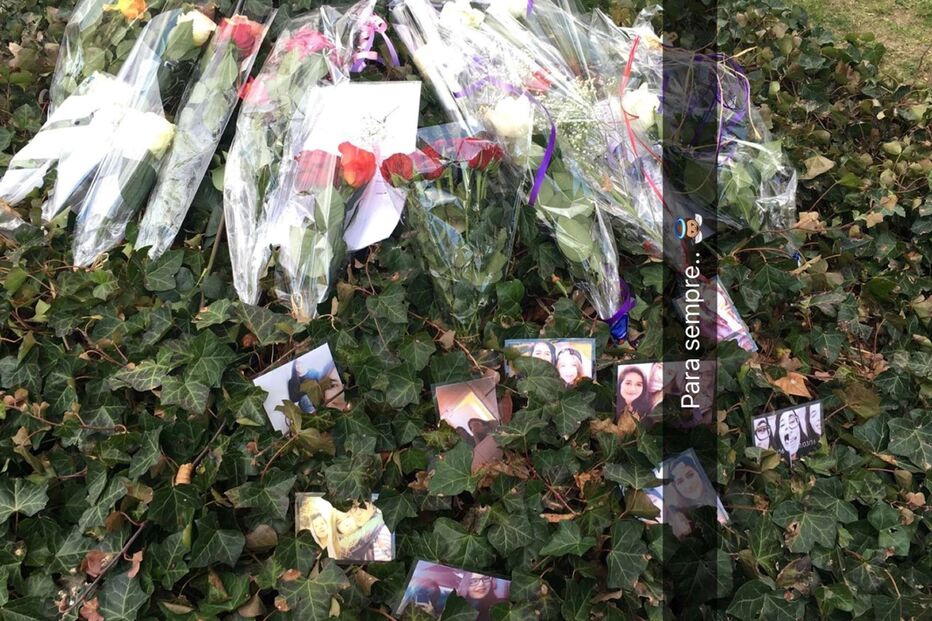 31-03-2016_11_44_11 12473816_1035191469884391_2449498221594682959_o.jpg