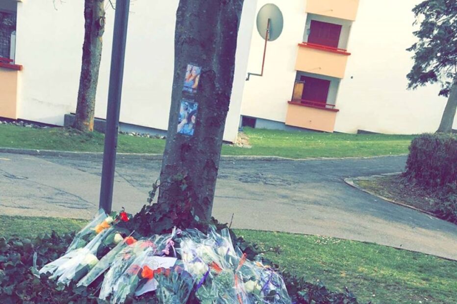 31-03-2016_11_44_23 12885731_1035191743217697_1510099198473381802_o.jpg