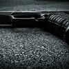 <![CDATA[ Dez armas de fogo apreendidas na Trofa em contexto de violência doméstica ]]>