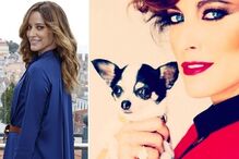 Maria João Bastos, cadela, chihuahua, Amélie, animal de estimação