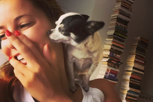 Maria João Bastos, cadela, chihuahua, Amélie, animal de estimação