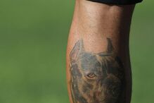 13-04-2016_19_40_57 petit manuel araújo.jpg