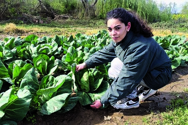 Cheias provocam prejuízos 		de milhares a agricultores 