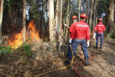 secretário de Estado da Administração Interna, Jorge Gomes, questões sociais, incêndios