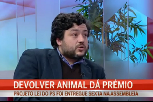 Devolver animal perdido dá prémio