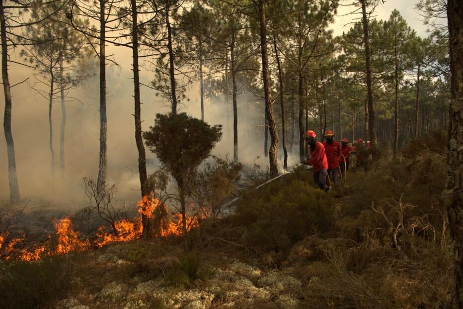 defesa, secretário de Estado da Administração Interna, incêndio
