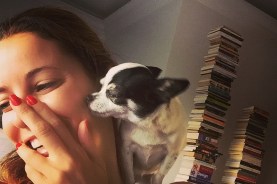 Maria João Bastos, cadela, chihuahua, Amélie, animal de estimação