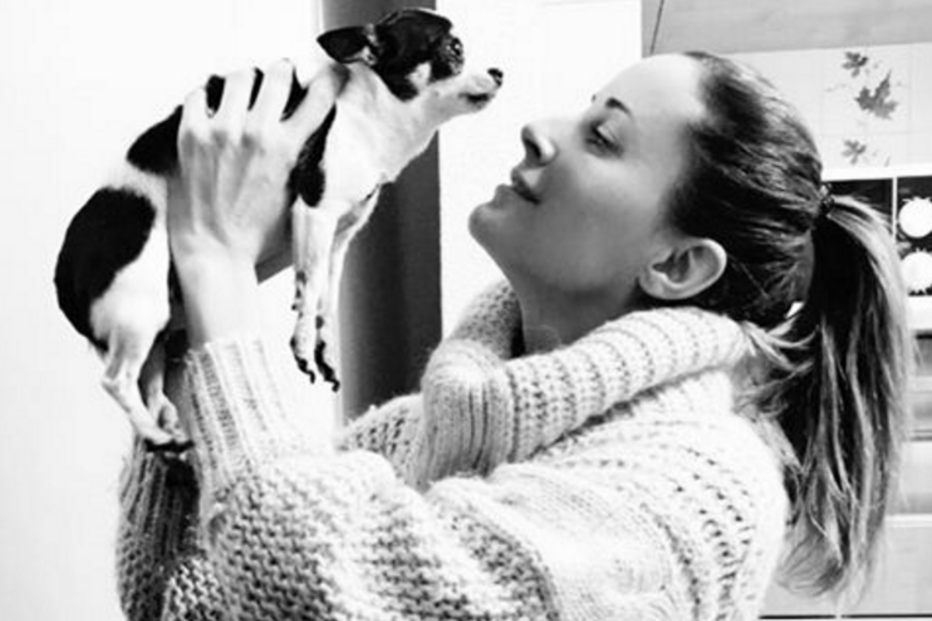 Maria João Bastos, cadela, chihuahua, Amélie, animal de estimação