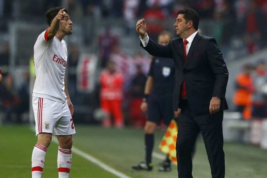 Rui Vitória, benfica, bayern, liga dos campeões, desporto, futebol, Pizzi 