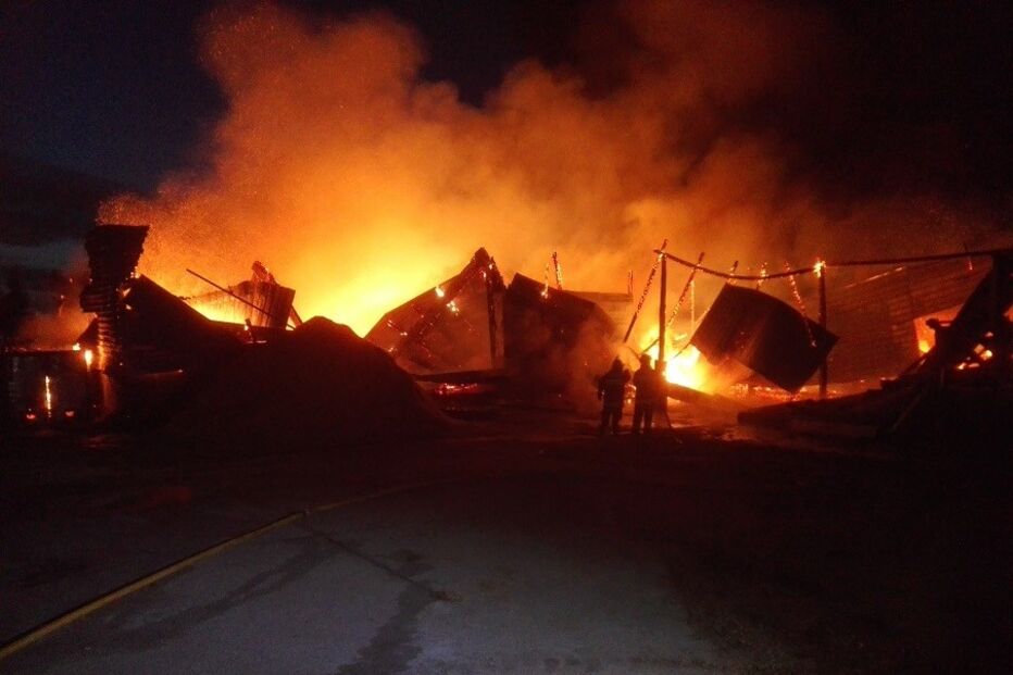 Incêndio, Pegões, Carmo Wood, madeira, acidentes e desastres