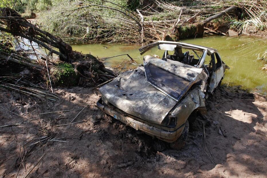 07-04-2016_09_51_32 carro.jpg