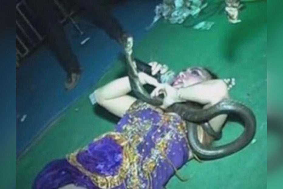 07-04-2016_10_36_05 Still0407_00000.jpg