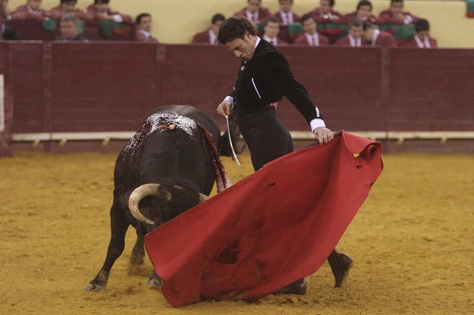 Campo Pequeno, Lisboa, corridas de toiros, novilhada, tauromaquia, João Salgueiro