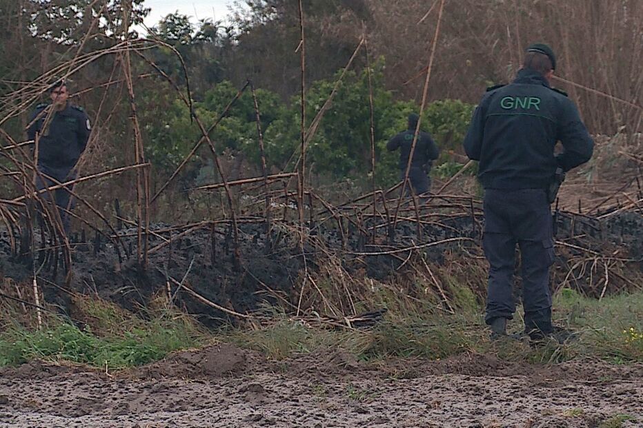 10-04-2016_01_56_13 11732719.jpg