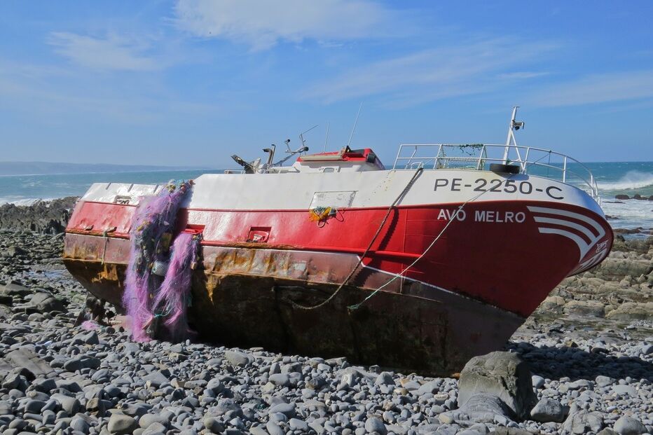 10-04-2016_02_00_36 11727072.jpg