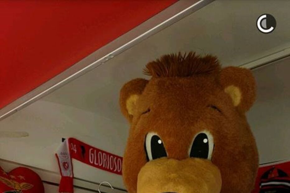 Berni, Bayern, lisboa, Benfica