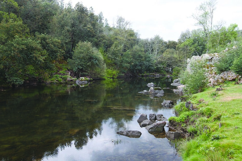 Deixa namorada à morte e foge