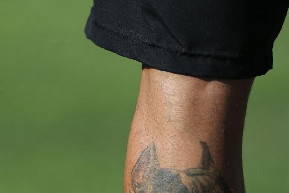 13-04-2016_19_40_57 petit manuel araújo.jpg