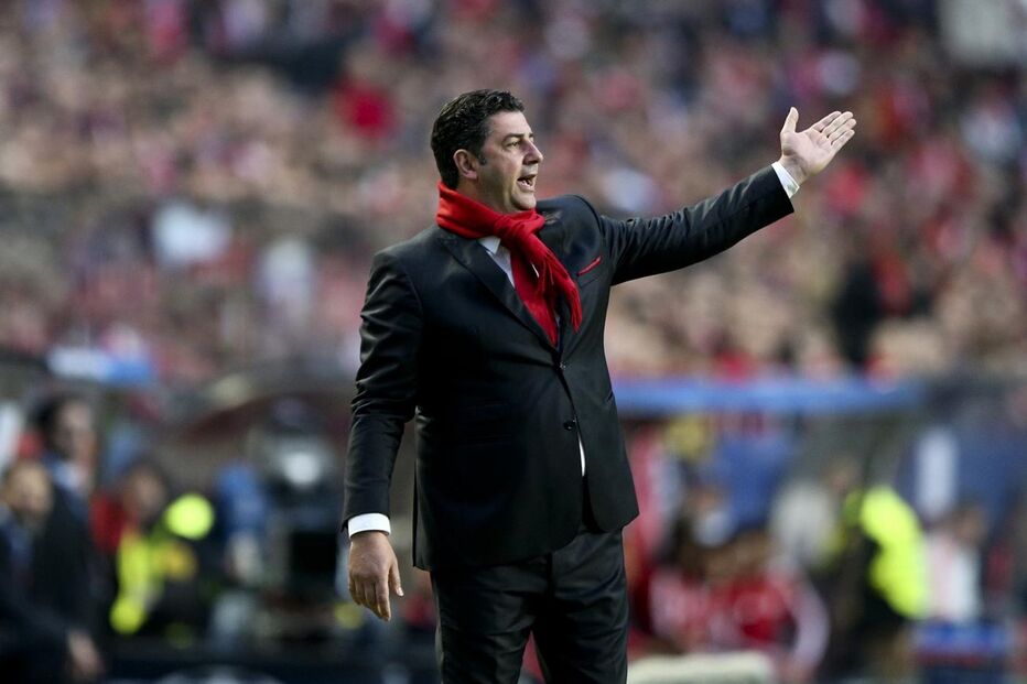 Rui Vitória, benfica, bayern, liga dos campeões, desporto, futebol 
