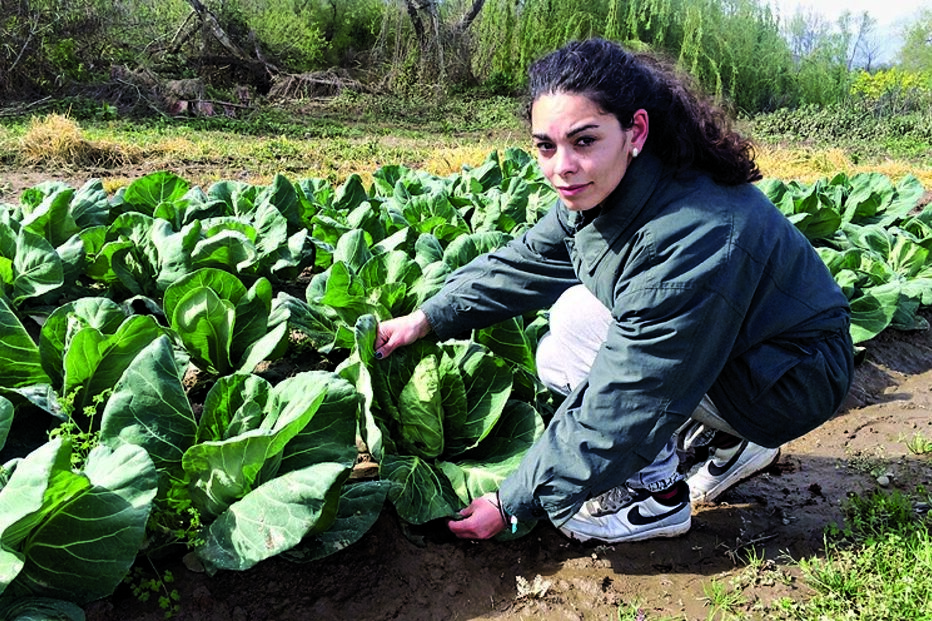 Cheias provocam prejuízos 		de milhares a agricultores 