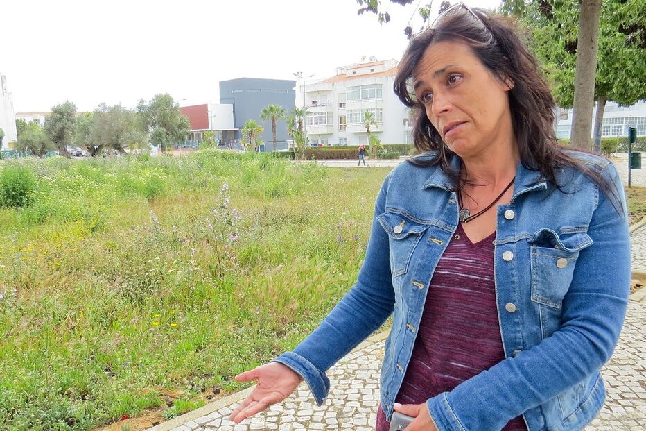 20-04-2016_01_32_22 11785619.jpg