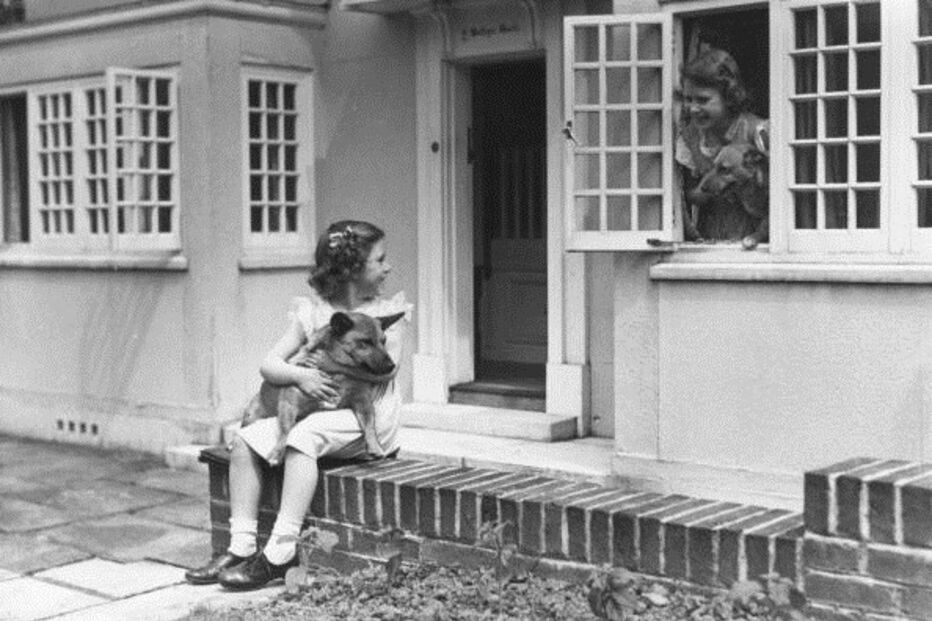 20-04-2016_13_11_39 x1 1936.jpg