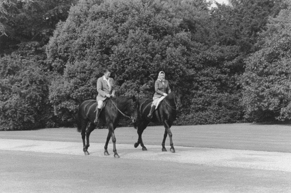 20-04-2016_13_32_59 x15 1986.jpg